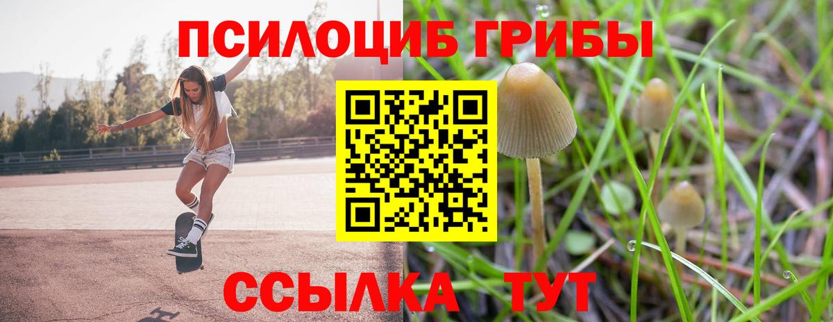 Галлюциногенные грибы Cubensis Кизилюрт
